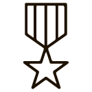 Veteran Owned (vendor/Brand) icon